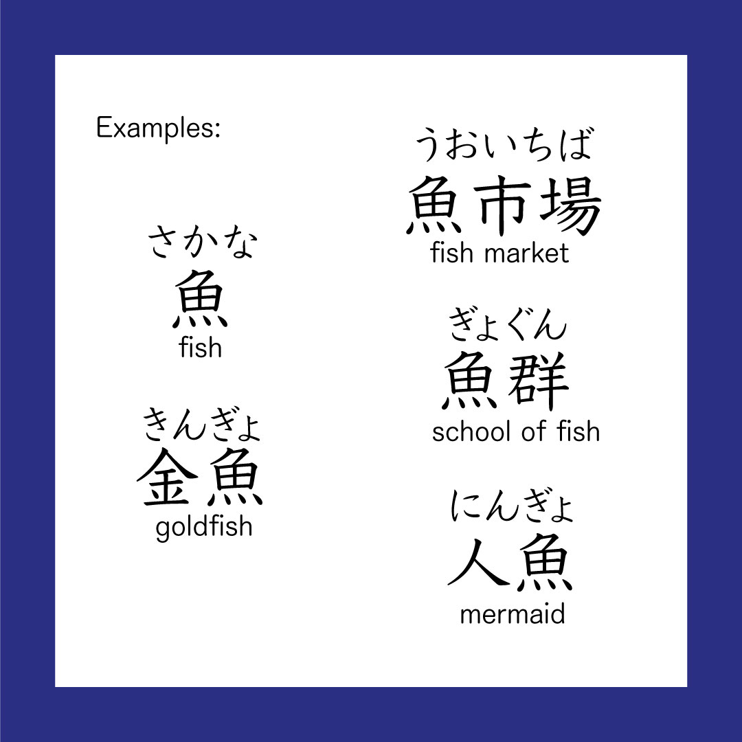 さかなです Kanji – 魚 – 365 Nihongo
